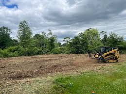 Land clearing job site