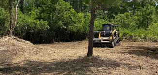 Commercial lot and right-of-way brush clearing